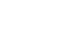 Vieira